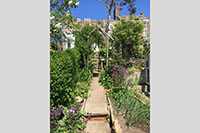 Summer in the garden